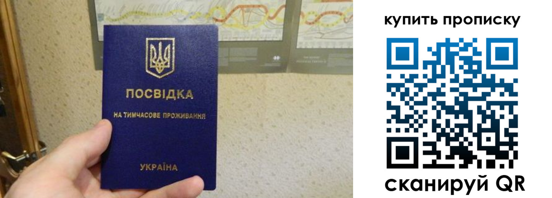 временная регистрация поиск в Торжоке
